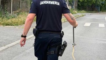 VIDEO Galați: Un șarpe lung de doi metri, îndepărtat de jandarmi după ce a fost observat de un grup de copii pe biciclete