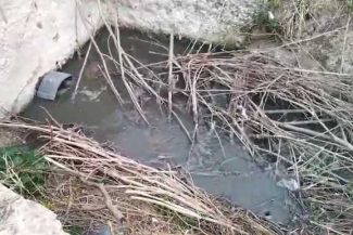 VIDEO Bihor: Firmă de apă-canal – amendată de comisarii de mediu cu peste 200.000 de lei pentru deversări în Ier și Barcău
