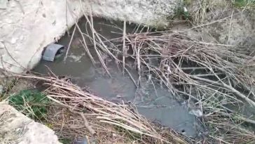 VIDEO Bihor: Firmă de apă-canal – amendată de comisarii de mediu cu peste 200.000 de lei pentru deversări în Ier și Barcău