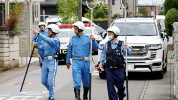 Japonia/ Un urs a cărui prezență într-un oraș a dus la închiderea a aproape 100 de școli, a fost capturat