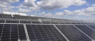 Fonduri în valoare de 265 de milioane de euro pentru investiții în energie regenerabilă în agricultură și industria alimentară