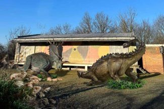 Arad: Un parc de aventură cu machete de dinozauri în mărime naturală este construit la Ineu, cu fonduri europene