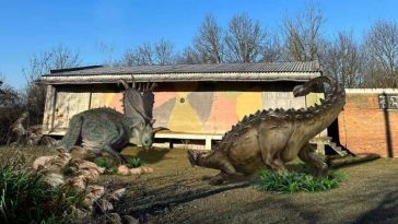Arad: Un parc de aventură cu machete de dinozauri în mărime naturală este construit la Ineu, cu fonduri europene