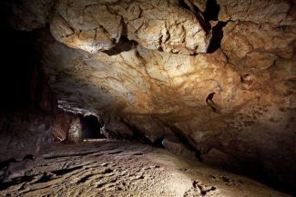 Bihor: Expoziție cu desenele paleolitice din Peștera Coliboaia, cele mai vechi din Europa Centrală
