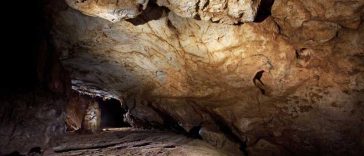 Bihor: Expoziție cu desenele paleolitice din Peștera Coliboaia, cele mai vechi din Europa Centrală