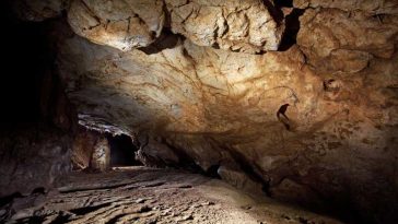 Bihor: Expoziție cu desenele paleolitice din Peștera Coliboaia, cele mai vechi din Europa Centrală