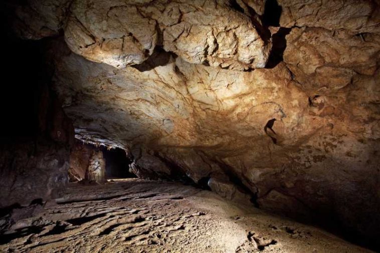 Bihor: Expoziție cu desenele paleolitice din Peștera Coliboaia, cele mai vechi din Europa Centrală
