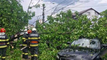 Neamț: Copaci doborâți de furtună în Piatra-Neamț; două mașini au fost avariate