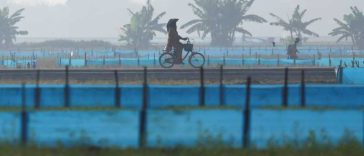 Fenomenul climatologic El Nino a început, anunță agenția americană NOAA