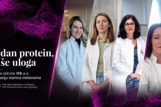 Noi indicii referitoare la deplasarea celulelor de melanom, descoperite de o echipă de cercetători croați