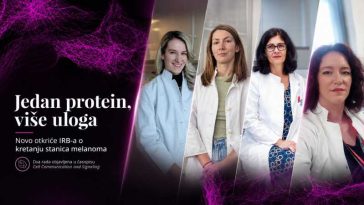 Noi indicii referitoare la deplasarea celulelor de melanom, descoperite de o echipă de cercetători croați