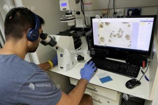 Cercetătorii chinezi au identificat cauzele opririi dezvoltării la embrionii umani aflați în stadii incipiente