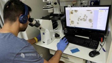 Cercetătorii chinezi au identificat cauzele opririi dezvoltării la embrionii umani aflați în stadii incipiente