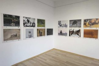 Bistrița-Năsăud: Expoziție Fotogeografica, la Complexul Muzeal, în anul în care competiția împlinește 30 de ani