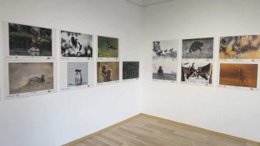 Bistrița-Năsăud: Expoziție Fotogeografica, la Complexul Muzeal, în anul în care competiția împlinește 30 de ani