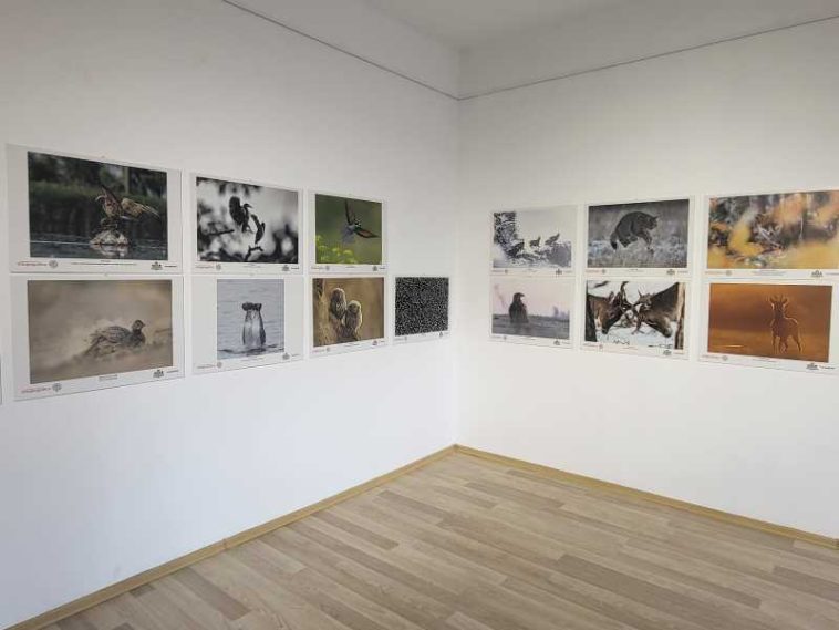 Bistrița-Năsăud: Expoziție Fotogeografica, la Complexul Muzeal, în anul în care competiția împlinește 30 de ani