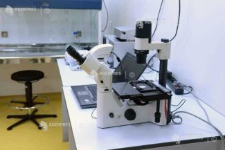Prima transmitere de la om la om a bacteriei dermatofilozei