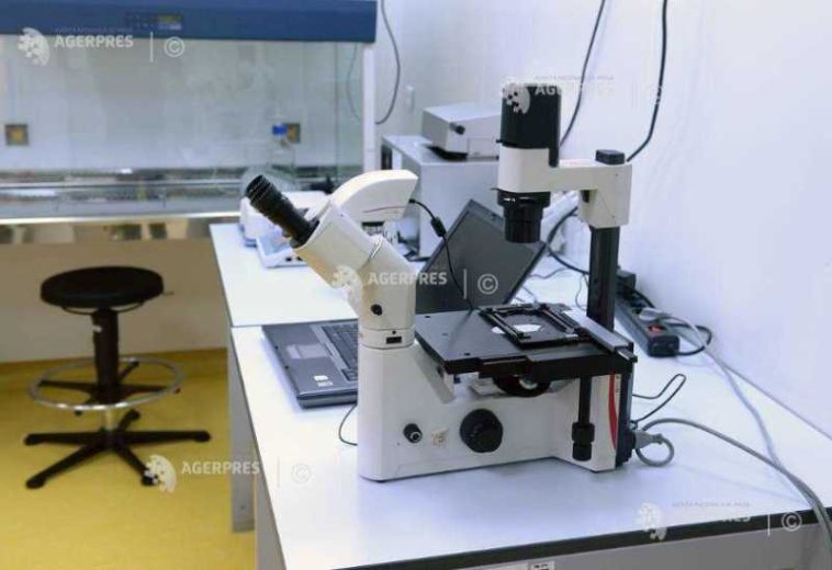 Prima transmitere de la om la om a bacteriei dermatofilozei