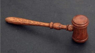 Curtea de Apel din Paris dispune predarea lui Paul de România; decizia nu e definitivă