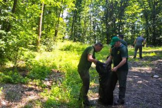 Buzău: 400 de kg de gunoi strâns dintr-o margine de pădure; Romsilva – Nu lăsați gunoaie ‘doar de data asta’