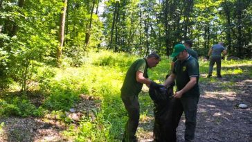 Buzău: 400 de kg de gunoi strâns dintr-o margine de pădure; Romsilva – Nu lăsați gunoaie ‘doar de data asta’