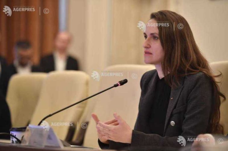 Oana Țoiu (USR): Nu vom vota Guvernul Veștea