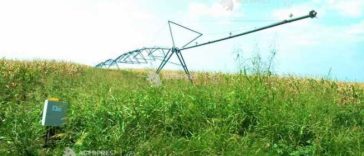 Program de guvernare/Modernizarea sistemului de irigații, creșterea producției interne și reducerea importurilor de alimente, obiective în…