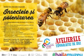 Bihor: Lumea albinelor prezentată în ateliere interactive pentru elevi despre polenizare și echilibrul naturii, la MTC