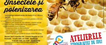 Bihor: Lumea albinelor prezentată în ateliere interactive pentru elevi despre polenizare și echilibrul naturii, la MTC