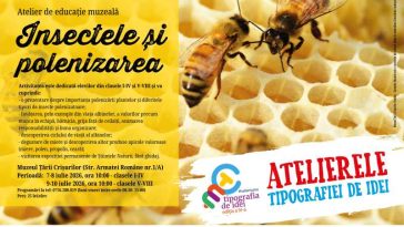 Bihor: Lumea albinelor prezentată în ateliere interactive pentru elevi despre polenizare și echilibrul naturii, la MTC