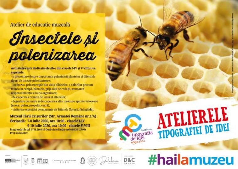 Bihor: Lumea albinelor prezentată în ateliere interactive pentru elevi despre polenizare și echilibrul naturii, la MTC