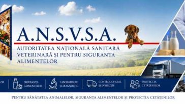 ANSVSA: Măsuri și recomandări pentru siguranța alimentelor în perioadele cu temperaturi ridicate