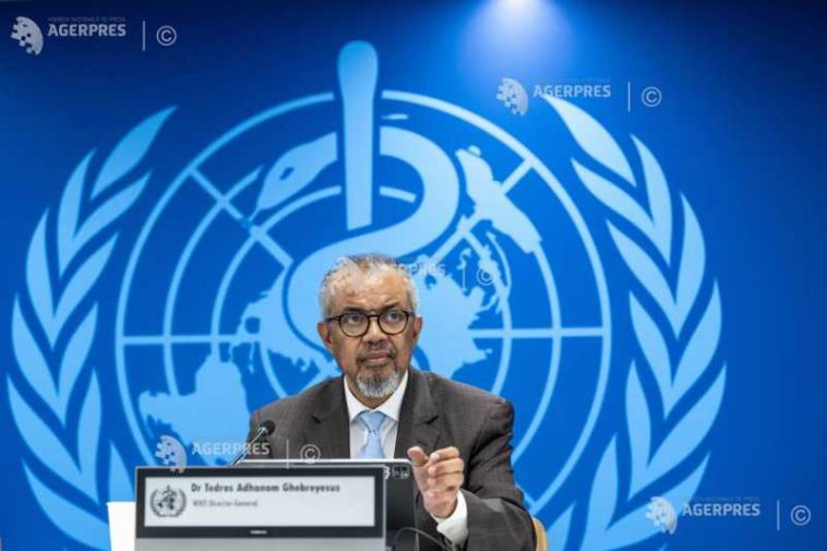 Valul de caniculă din Europa a provocat 1.300 de decese suplimentare, avertizează directorul OMS