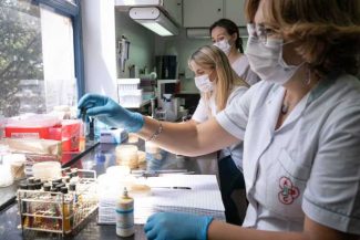 Argentina: O variantă de hantavirus, detectată în Țara de Foc