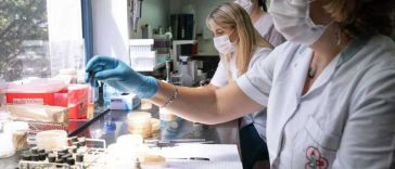 Argentina: O variantă de hantavirus, detectată în Țara de Foc