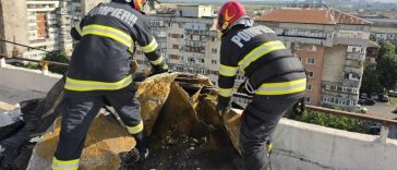Dâmbovița: Copaci și stâlpi de ai rețelei electrice doborâți de vânt; mai multe acoperișuri avariate