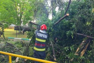 DSU – efecte hidrometeorologice în nouă localități din șase județe; copaci căzuți, mașini avariate (FOTO/VIDEO)
