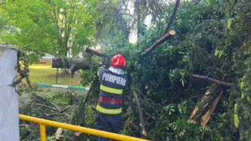 DSU – efecte hidrometeorologice în nouă localități din șase județe; copaci căzuți, mașini avariate (FOTO/VIDEO)