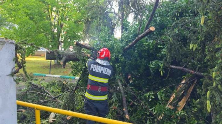 DSU – efecte hidrometeorologice în nouă localități din șase județe; copaci căzuți, mașini avariate (FOTO/VIDEO)