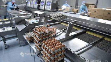 INS: Prețul ouălor a scăzut în aprilie în majoritatea piețelor agroalimentare