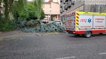 Mureș: Curtea Spitalului din Sovata și un supermarket, inundate în urma unei ploi torențiale