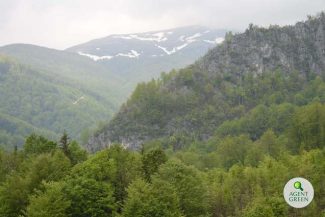 Activiştii de mediu, indignaţi de decizia CCR care declară constituţională o lege iniţiată de senatorul Daniel Zamfir: 27 de parcuri naţionale şi naturale sunt mutilate pentru nişte proiecte hidroenergetice „ceauşiste”