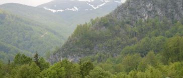 Activiştii de mediu, indignaţi de decizia CCR care declară constituţională o lege iniţiată de senatorul Daniel Zamfir: 27 de parcuri naţionale şi naturale sunt mutilate pentru nişte proiecte hidroenergetice „ceauşiste”