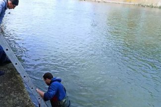 Intervenţie a salvatorilor la Satu Mare, după ce autorităţile au fost anunţate că un copil de opt ani a dispărut în apele Someşului
