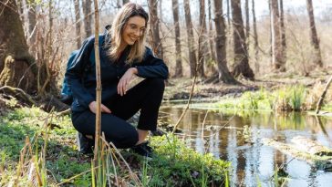 Diana Buzoianu: Aproximativ 250.000 de puieţi care trebuiau să fie plantaţi în păduri anii următori, care existau pe hârtie, pe teren au fost de negăsit. Aşa se fură pădurile viitoare / Sesizare penală
