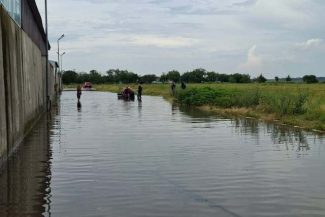 DSU prezintă efectele fenomenelor hidrometeorologice, înregistrate în 29 de localităţi din 10 judeţe şi în Bucureşti: Peste 200 de curţi inundate, 10 copaci prăbuşiţi pe carosabil, o alunecare de teren a afectat un drum comunal