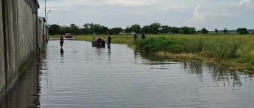 DSU prezintă efectele fenomenelor hidrometeorologice, înregistrate în 29 de localităţi din 10 judeţe şi în Bucureşti: Peste 200 de curţi inundate, 10 copaci prăbuşiţi pe carosabil, o alunecare de teren a afectat un drum comunal