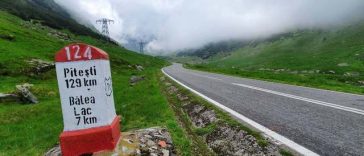 Urs împuşcat pe Transfăgărăşan, după ce a atacat un turist elveţian