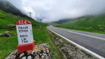 Urs împuşcat pe Transfăgărăşan, după ce a atacat un turist elveţian