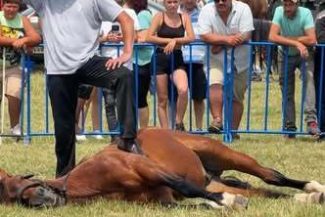 Indignare în mediul online, după ce proprietarul unui cal a fost fotografiat în timp ce maltratează animalul, la târgul de la Medieşu Aurit